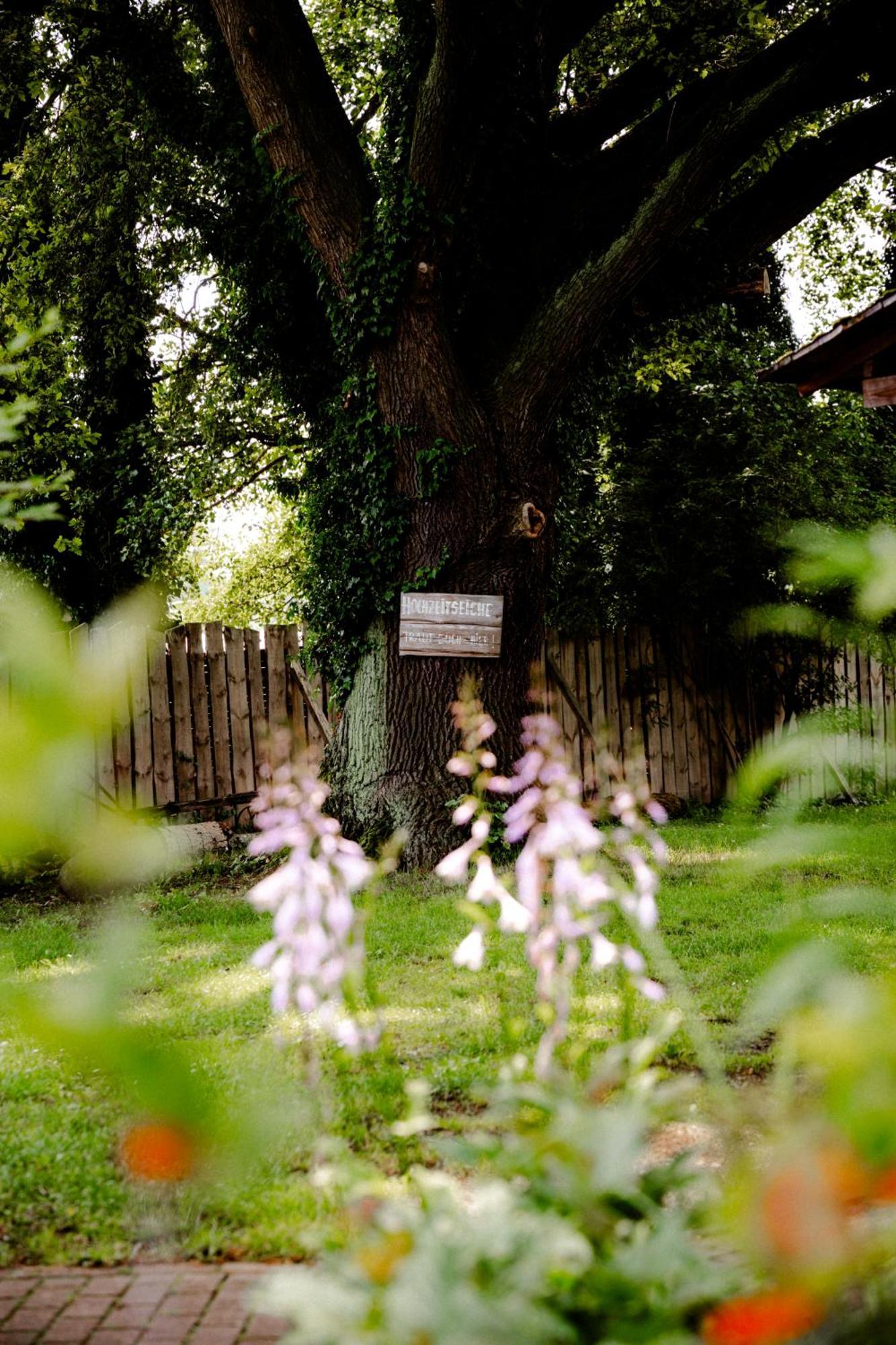 Hotel Kolonieschanke Burg  Bagian luar foto